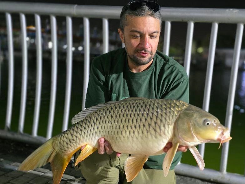 گالری عکس ماهیگیری کپور امید صدر