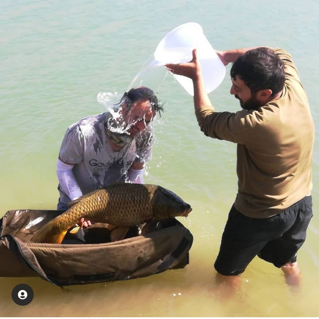گالری عکسهای ماهیگیری کپور سروش رحیمی