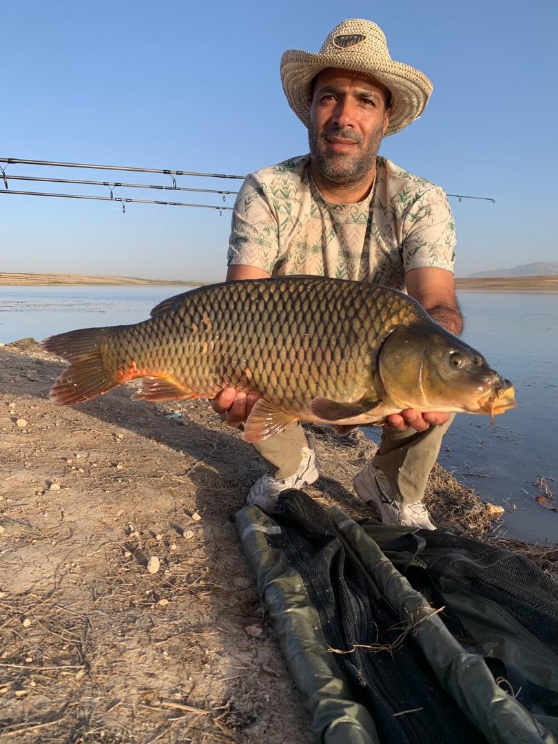 گالری عکس ماهیگیری بهروز محمدی