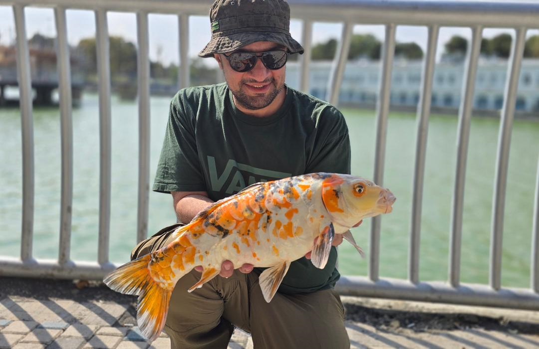 گالری عکس ماهیگیری کپور امید صدر