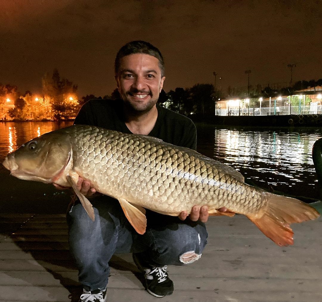 گالری عکس ماهیگیری کپور امید صدر