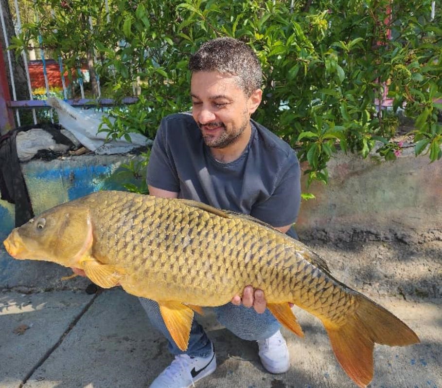 گالری عکس ماهیگیری کپور امید صدر