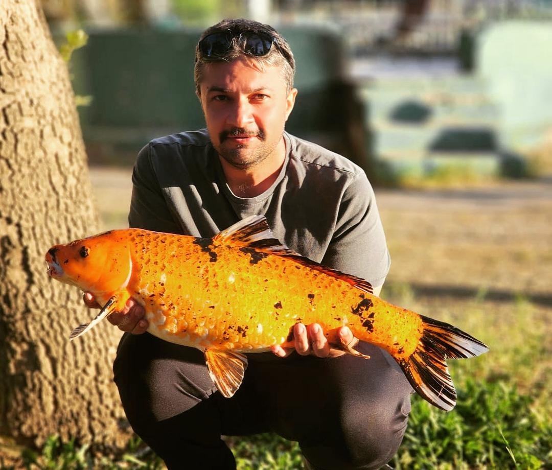 گالری عکس ماهیگیری کپور امید صدر