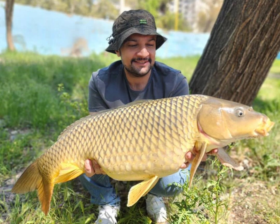 گالری عکس ماهیگیری کپور امید صدر