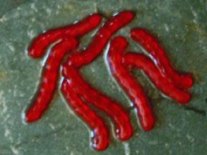 ET Artificial Blood Worm