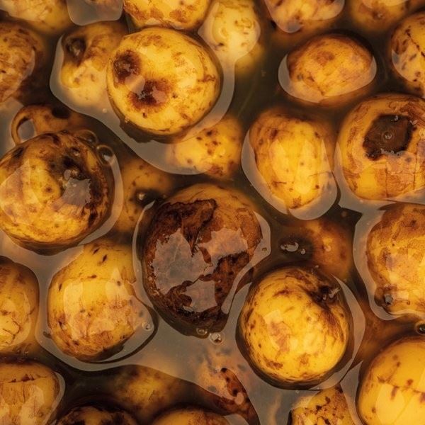 NASH Sweet Tiger Nuts