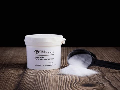 L-Alanine