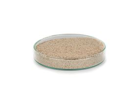 Enzymes compound powder