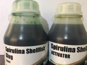 Spirulina Shelfish Glug
